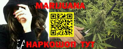 стаф Новокубанск