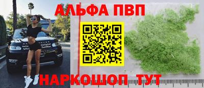 стаф Новокубанск