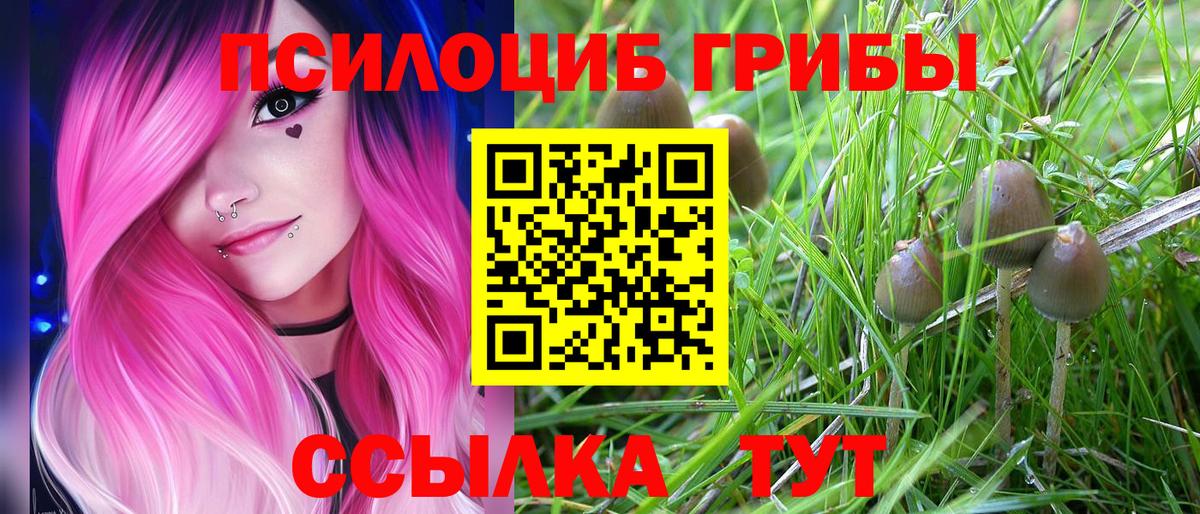 Альметьевск  Галлюциногенные грибы ЛСД  Вход с VPN  Псилоцибиновые грибы ЛСД 